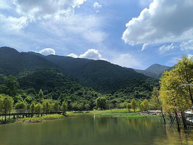 【地评线】太阳鸟时评：守住根脉，让传统村落生机盎然